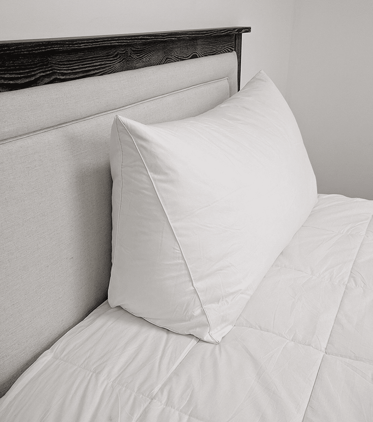 Pillowtex Feather and Down Reading Wedge Bed Pillow (18"x12"x36")