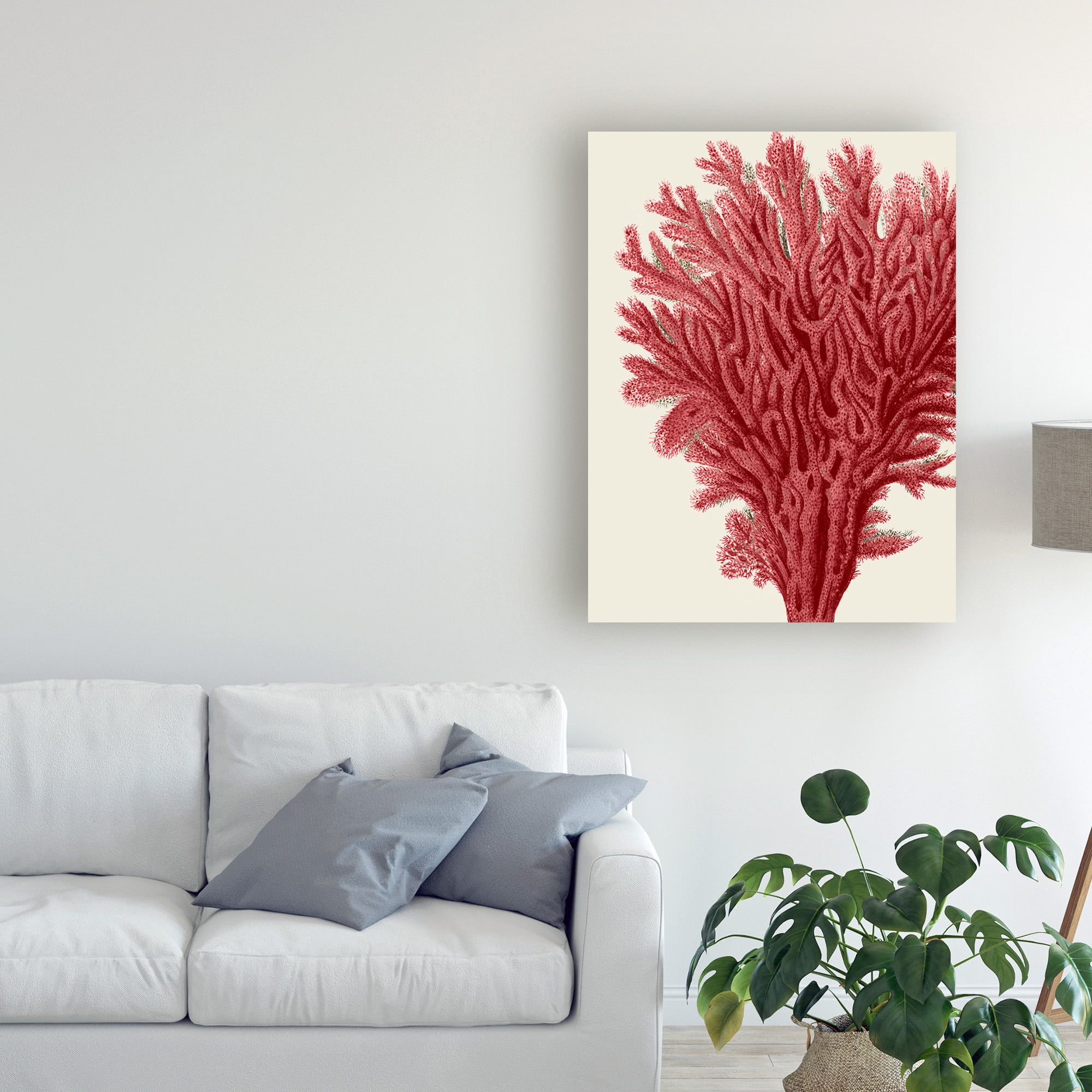Trademark Fine Art 'Red Corals 2 A' Canvas Art by Fab Funky