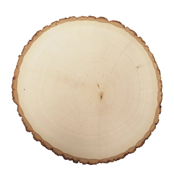 RUSTIC BASSWOOD LIVE EDGE THICK STUMP, 3-PACK  7 TO 9 IN. WIDE X 1.63 IN.