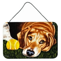 Carolines Treasures AMB1358DS812 Have Ball Will Travel Beagle Wall or Door Hanging Prints  8x12 multicolor