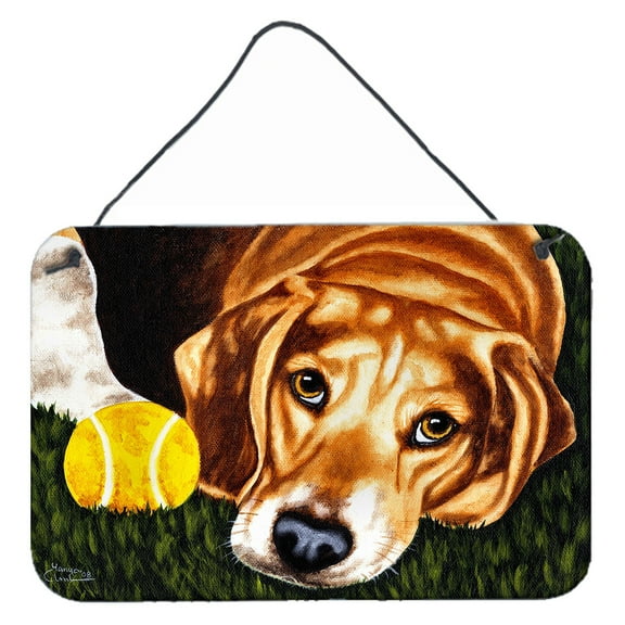 Carolines Treasures AMB1358DS812 Have Ball Will Travel Beagle Wall or Door Hanging Prints  8x12 multicolor