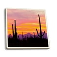 thumbnail image 1 of Sunset and Cactus Photograph (Absorbent Ceramic Coasters Set of 4 Matching Images, Cork Back, Kitchen Table Decor), 1 of 3