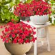 thumbnail image 5 of Eoozwa 2 Packs Artificial Flowers 7-Head Bouquet Realistic Silk Floral Stems for Home Decor Wedding Centerpieces and Outdoor Garden Photography Props Long-Lasting Spring Collection, 5 of 6