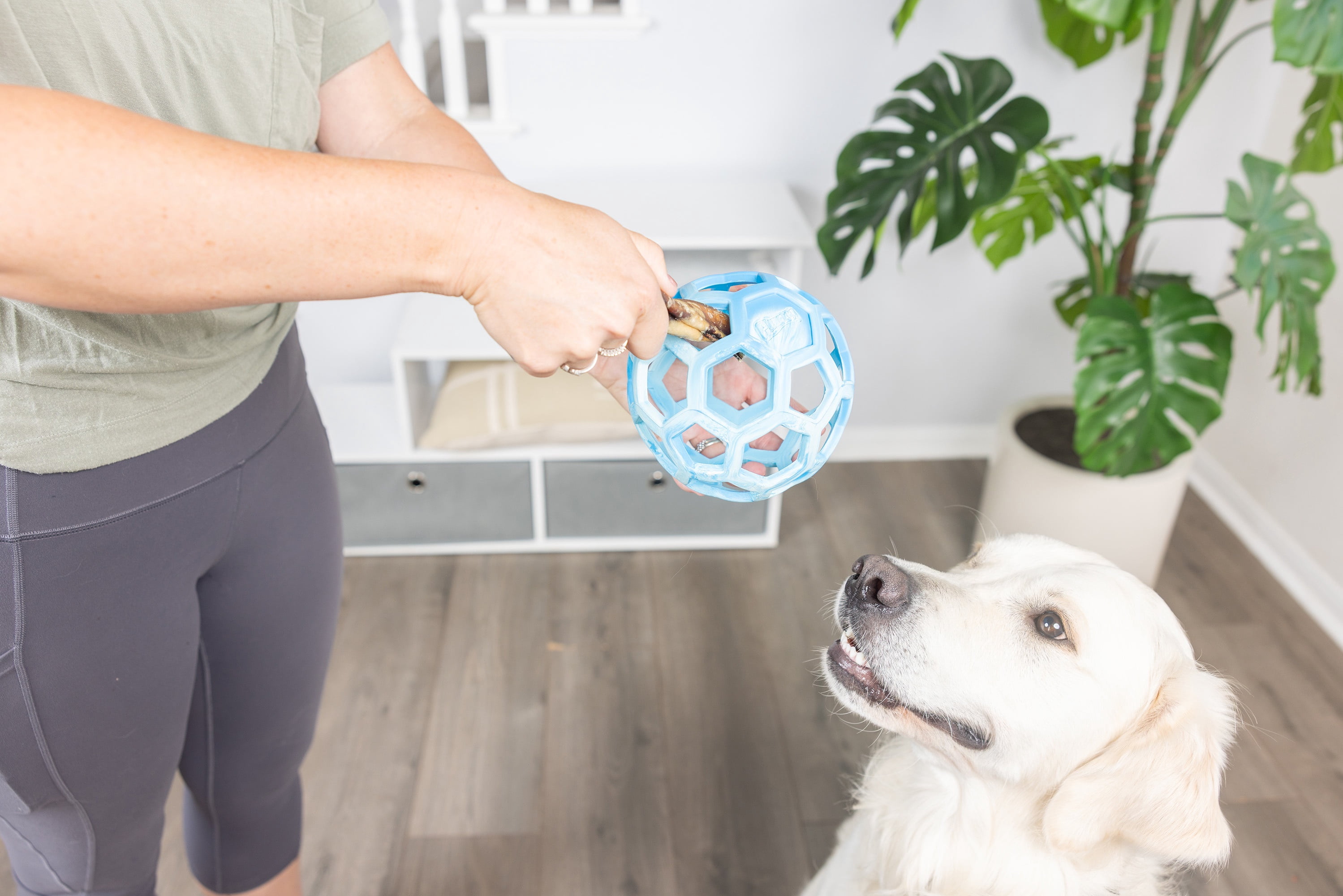 Chuckit! Holee Roller Dog Treat Puzzle Ball, Large 3", Blue – Treat & Chew Toy for Dogs 60–100 lb, Pack of 1