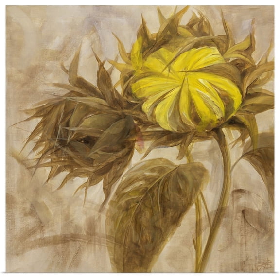 Great BIG Canvas | "Sunflower II" Art Print - 24x24