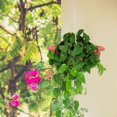 thumbnail image 1 of BESTYASH 1Jgo Macetero Colgante Decorativo Oscuro Para Suculentas Y Plantas, 1 of 7