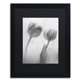 thumbnail image 2 of Moises Levy 'Flowers on Ice-1' Black Matted Framed Art, 2 of 4