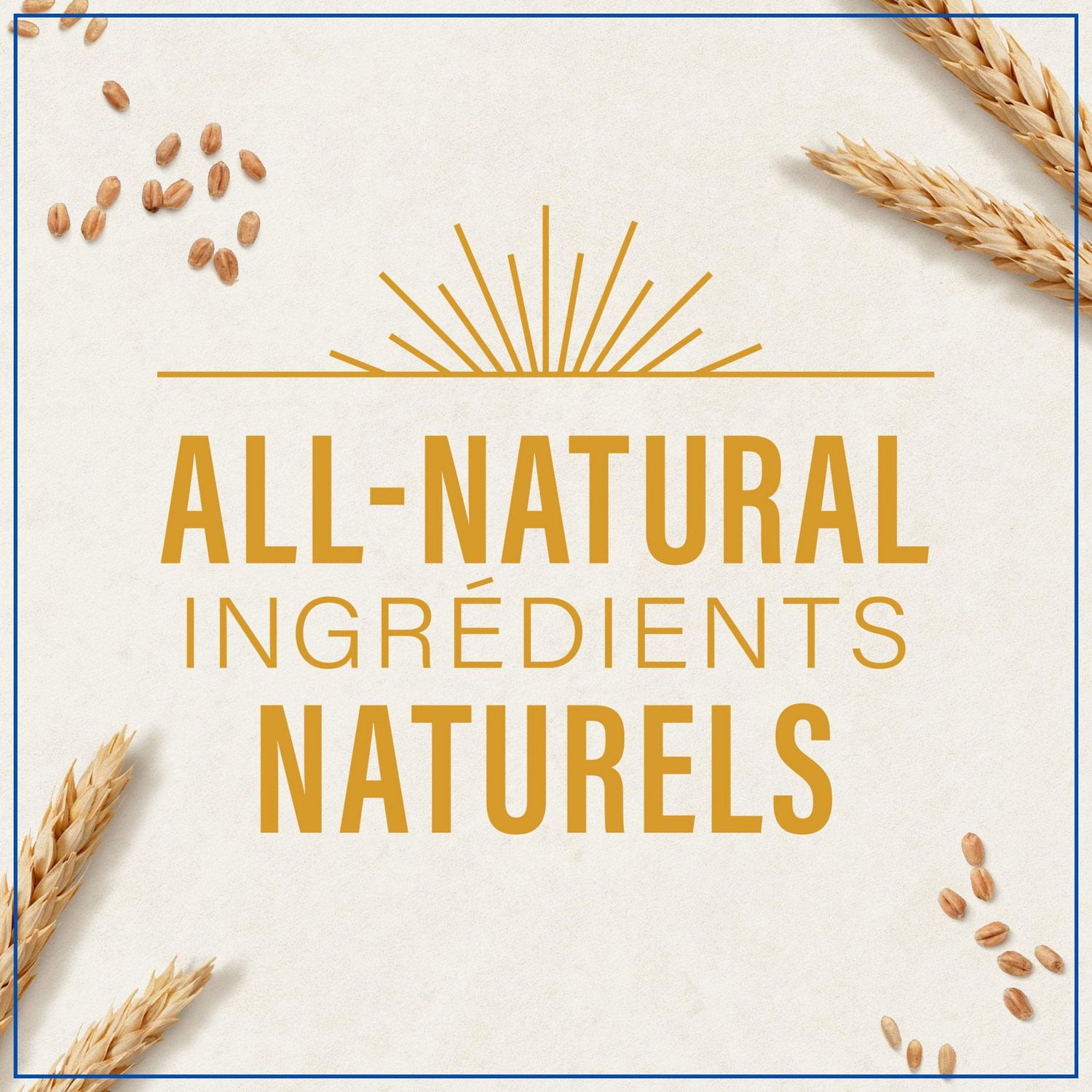 Pâtes Catelli Classiques, Alphabets 375 g 375 g