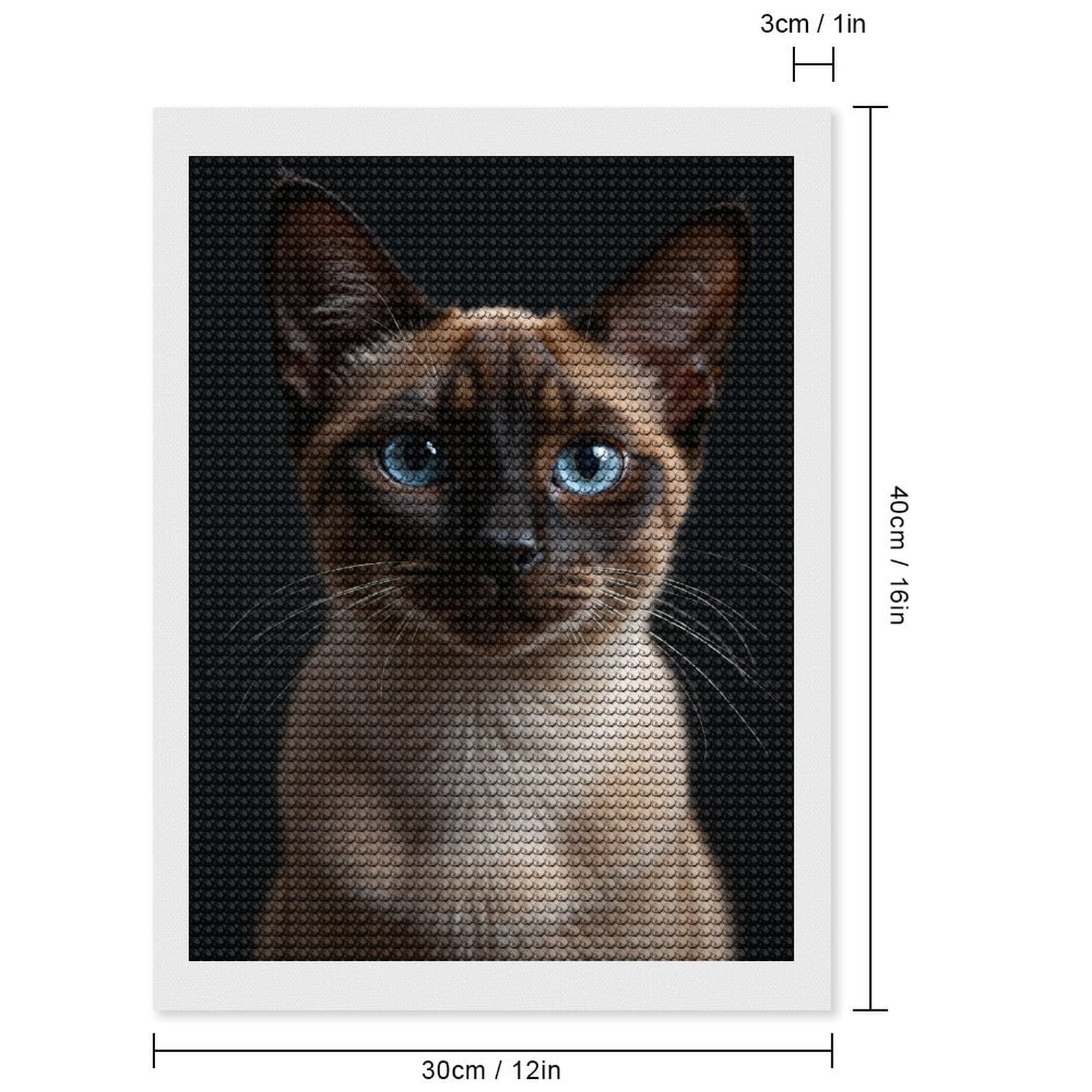 Diamond Art Kits for Adults - Blue Eyed Siamese Cat Portrait 5d Diamond Painting for Adults, Diamond Art for Adults Beginners, Frameless Diamond Painting Kits for Adults for Home Wall Decor