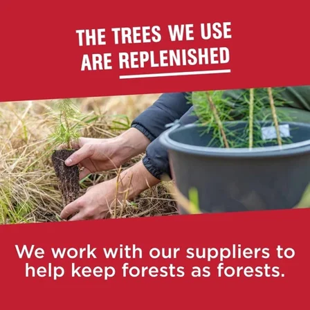 Vanity Fair Everyday Paper Napkins, 200 Count, Soft & Smooth, Disposable