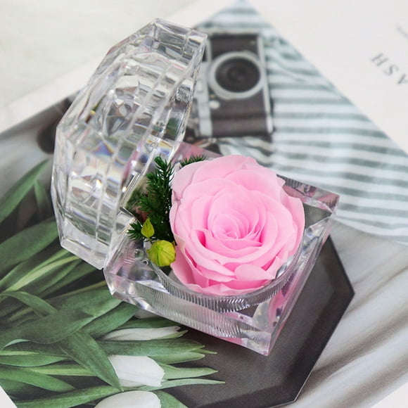 Preserved Real Rose in Acrylic Display Case for Rings, Valentines Day Gift, 1 Count