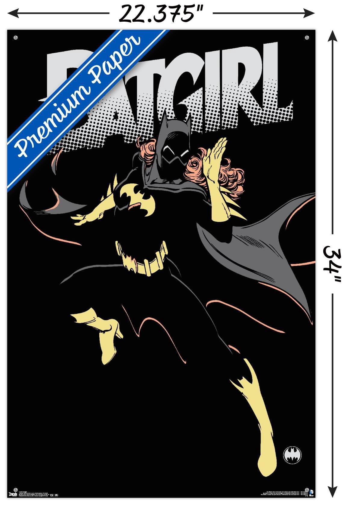 DC Comics - Batgirl Wall Poster with Push Pins, 22.375" x 34"