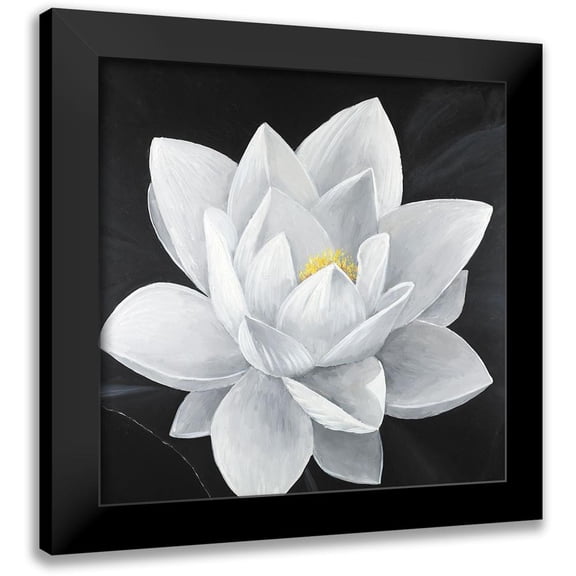 Atelier B Art Studio 12x12 Black Modern Framed Museum Art Print Titled - Overhead View of a Lotus Flower