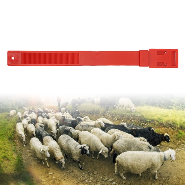 10Pcs Goat Collars, 13.8in Sheep Identification Bands Livestock Marking Rings For Small Farm Animal Goat Sheep