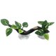 thumbnail image 2 of Rama trepadora de reptiles, ventosa para plantas, decoración de acuarios, árbol de Reptiles de plantas acuáticas para decoración de árboles trepadores, 2 of 5
