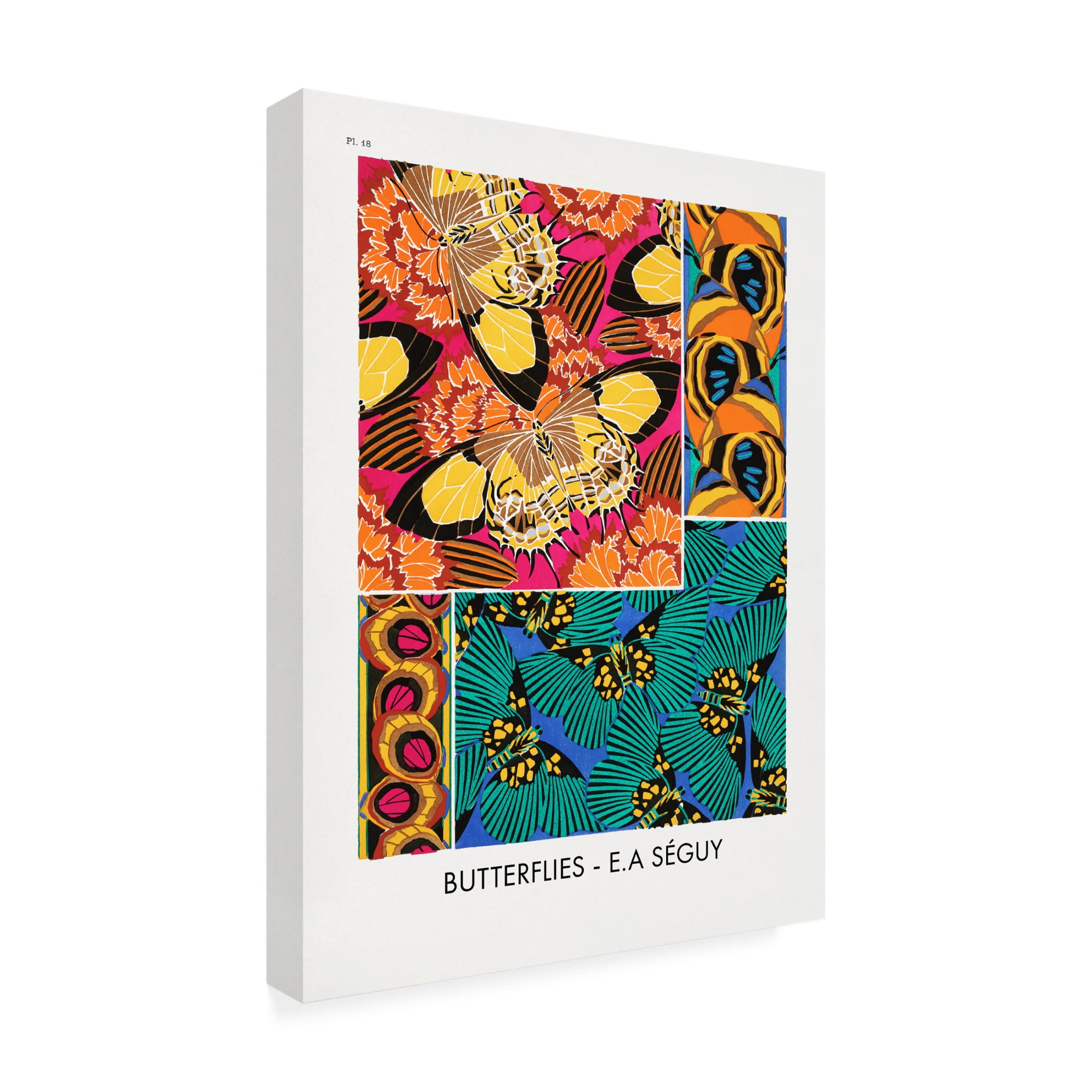 Trademark Fine Art Pictufy   Butterflies 18 Canvas Wall Art