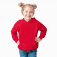 thumbnail image 4 of NOLDARES Toddler Baby Boy Girl Hoodies Solid Color Long Sleeve Kangaroo Pocket Hooded Sweatshirt Top Fall Winter Clothes(N009-Red), 4 of 4