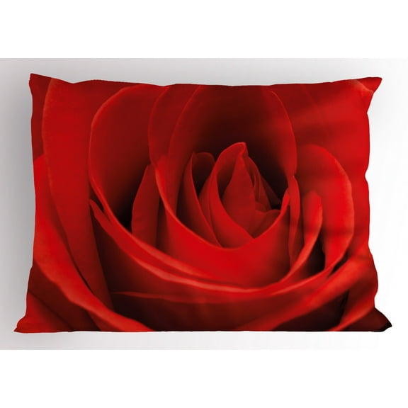 Ambesonne Rose Pillow Sham, Natural Beauty Red Blossom, 26" X 20", Vermilion