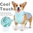 thumbnail image 4 of HQREA Dog Cooling Vest Summer Pet Life Jacket for Small & Medium Dogs Breathable Mesh Pet Shirt for Swimming, 4 of 8