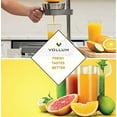 Manual Fruit Juicer Commercial Grade Home Citrus Lever Squeezer for