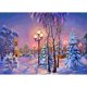 thumbnail image 1 of Pintura de diamante (DB2208) 5D DIY Square Snow Street Kit de punto de cruz Decoración 50x70cm FLhrweasw Nuevo, 1 of 1