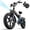 Black, variant on URLIFE 750W Folding Electric Bikes for Adult,20'' 4.0 Fat Tire Ebike,20Mph Max Speed,48V 13Ah Removable Battery,Commuting E Bike UL2849,Class 2