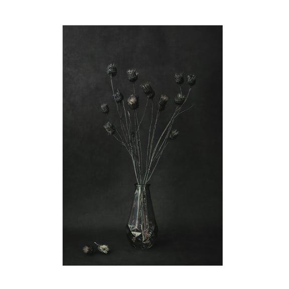 Canvas Wall Art - Cicek Kiral 'Dark' Wall Art for Living Room, Bedroom, or Office Décor by Trademark Fine Art - 12 x 19 Inches