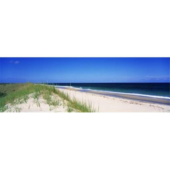 Panoramic Images PPI38688L Cape Hatteras National Park Outer Banks North Carolina USA Poster Print by Panoramic Images - 36 x 12