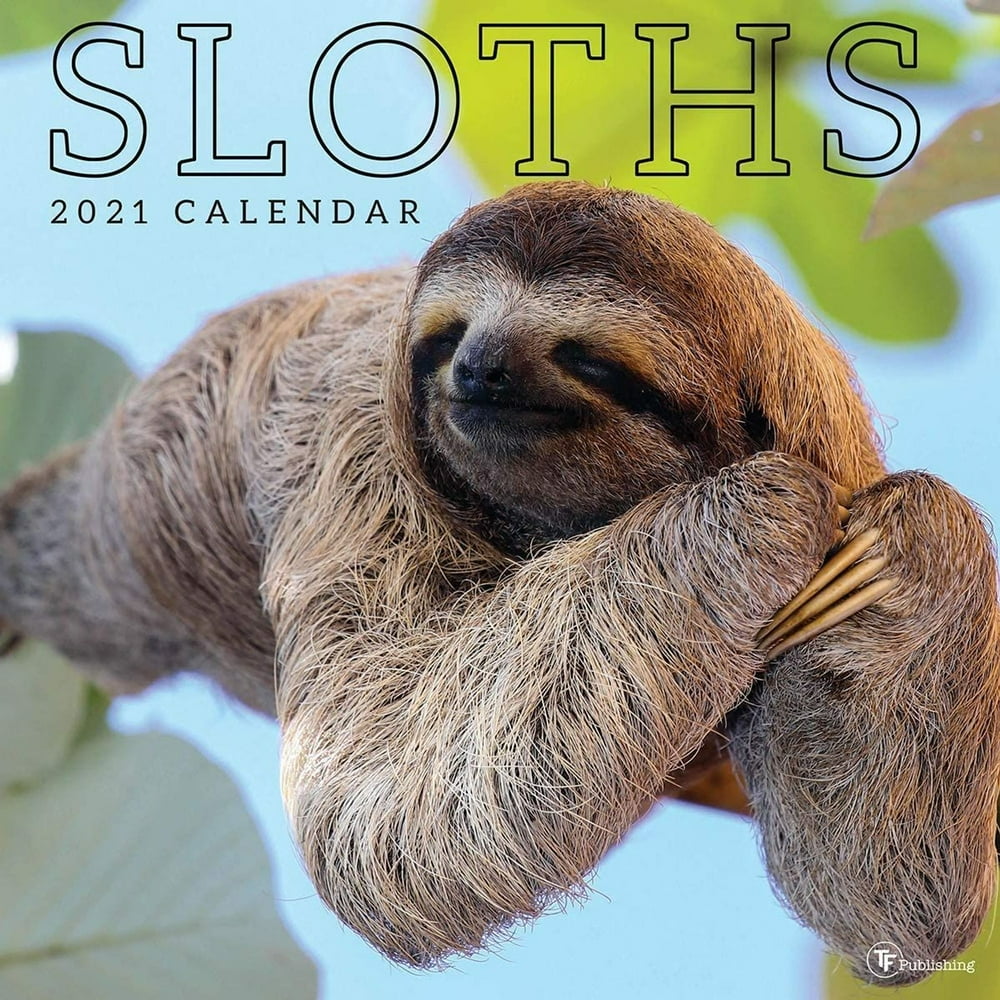 2021 Sloths 12"x12" Wall Calendar