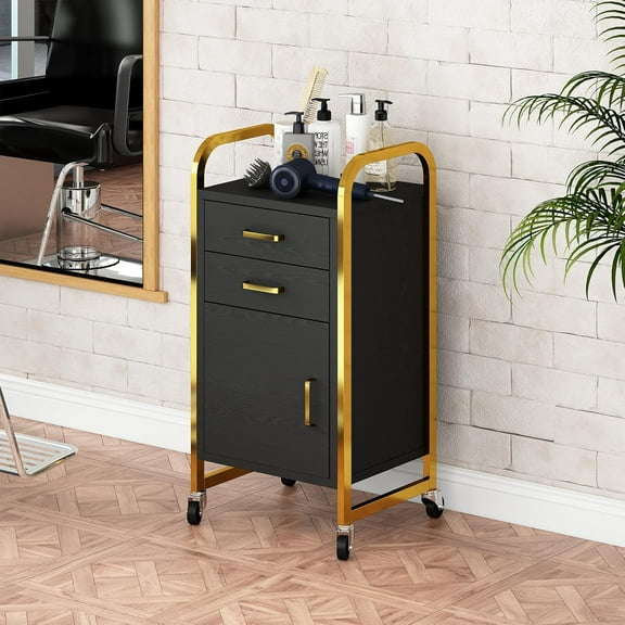 Black and Gold Salon Rolling Cart with Wheels, Mobile Beauty Trolley with 2 Drawers, Salon Station with Storage Cabinet for Hair Stylist, Rolling Beauty Station for Barbershop, Spa & Tattoo