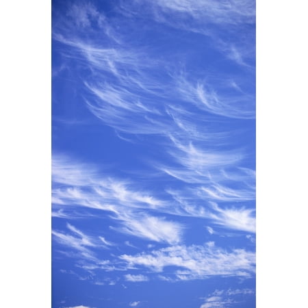 A3 Cartoon Blue Sky Poster Size A3 Clouds Weather Cool Fun Poster