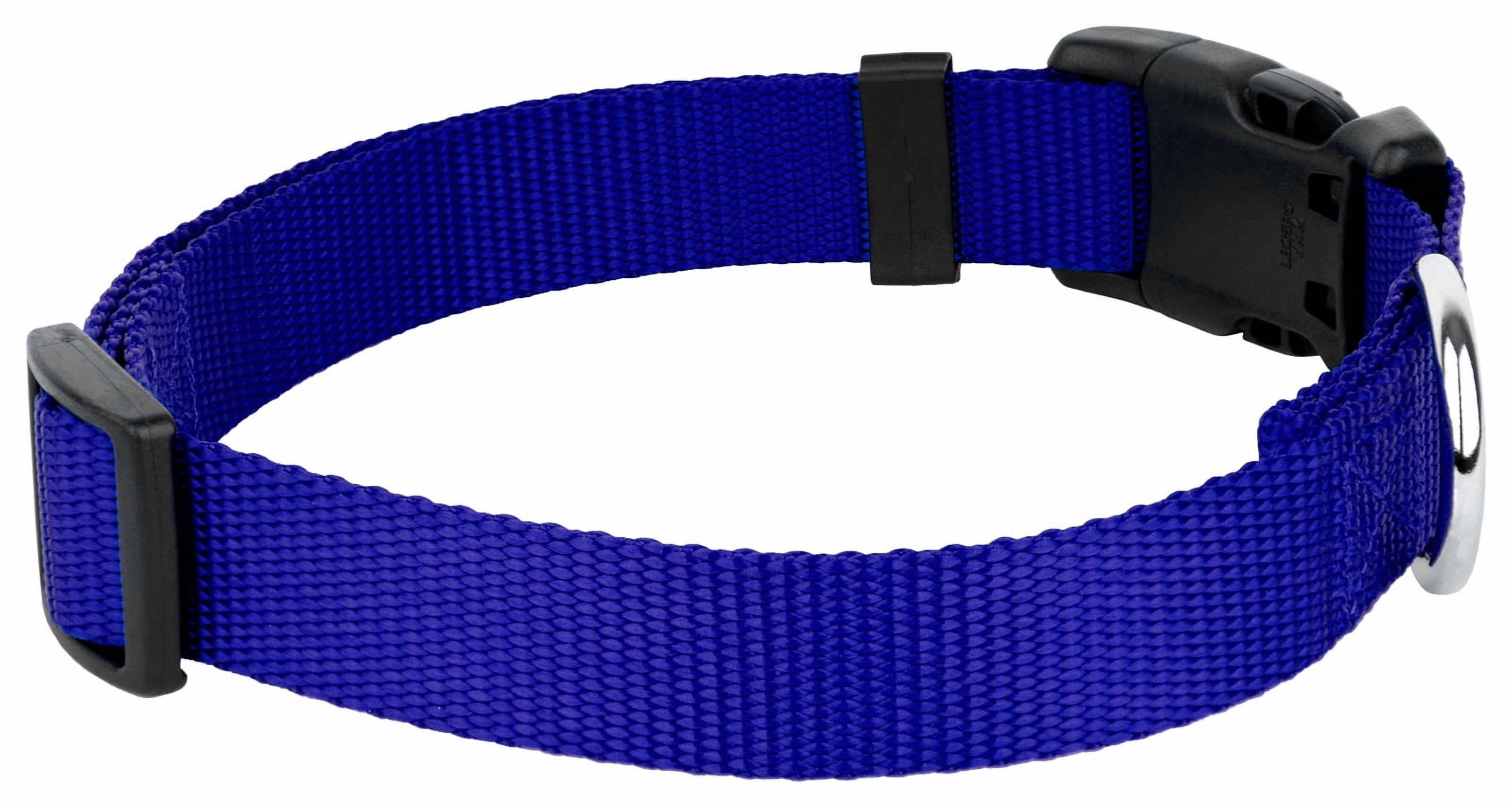 Country Brook Petz® Bright Royal Blue Everyday Nylon Dog Collar and Leash, Medium