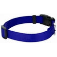 thumbnail image 4 of Country Brook Petz® Bright Royal Blue Everyday Nylon Dog Collar and Leash, Medium, 4 of 6