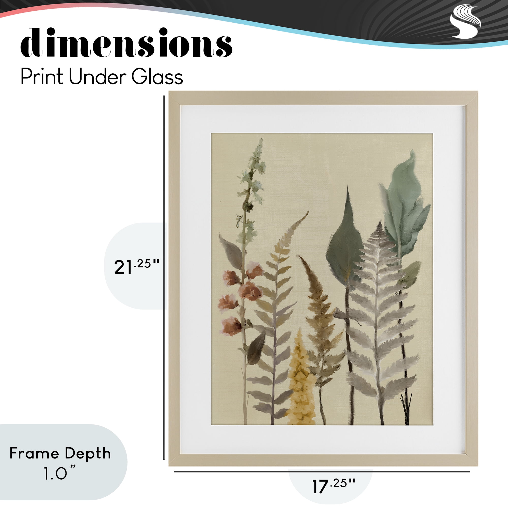 Stupell Industries Fall Botanicals Forest Ferns Birch Framed Print Under Glass, design by Elizabeth Medley