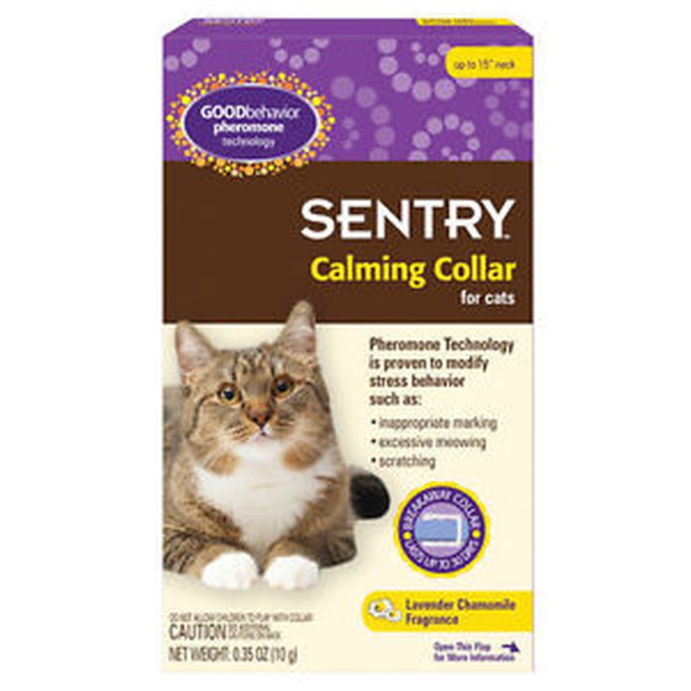 Natural Cat Calming Collar With Valerian Root And Chamomile photo