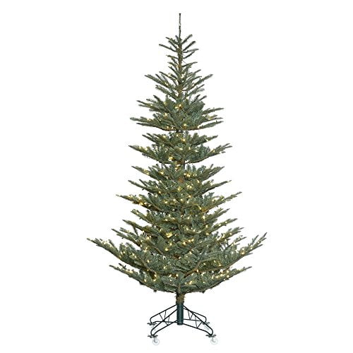 9+ Color Blue Spruce
