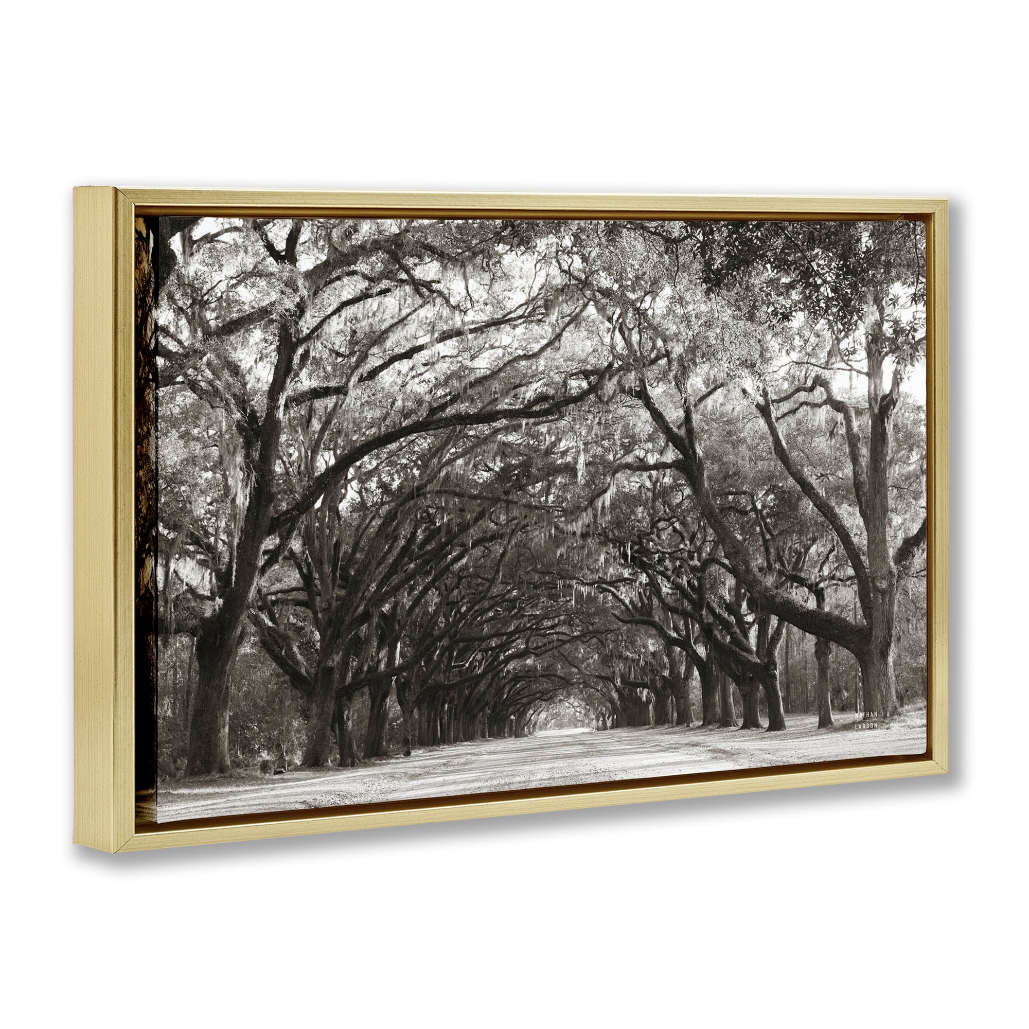 Stupell Industries Georgia Stroll Tree Tunnel Gold Framed Floater Canvas Wall Art, design by Nathan Larson