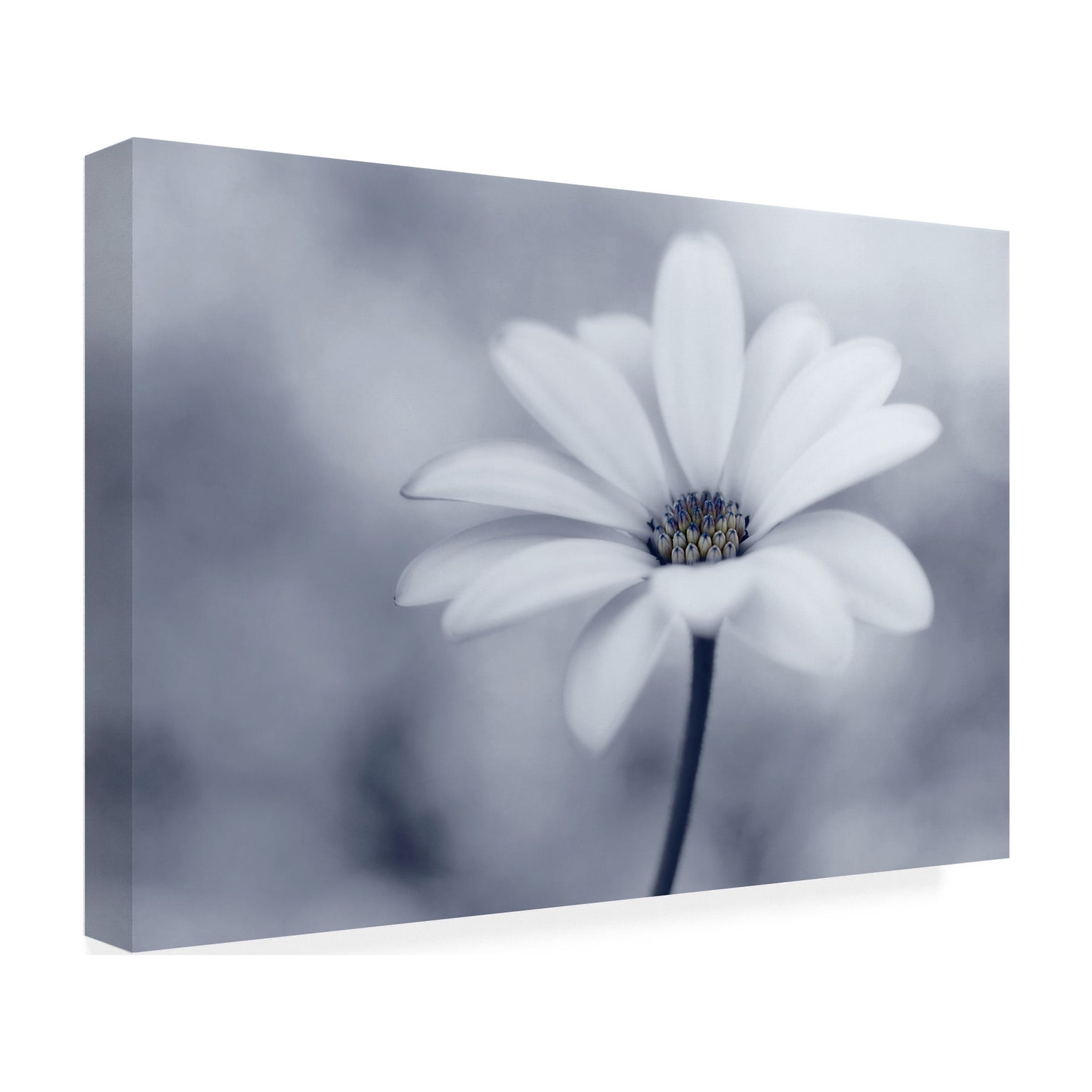 Lotte Gronkj�r 'Blue Tones' Canvas Art