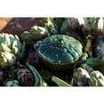 thumbnail image 5 of Staub Ceramic 16-oz Petite Artichoke Cocotte - Basil, 5 of 10