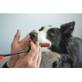thumbnail image 6 of Paw Ready Doggy Breath to Doggy Fresh Dog Dental Care Kit Includes Enzymatic Toothpaste, Dual Brush Head Toothbrush with Angled Bristles and Blue Bite Block to Gently Keep Pets Jaw Open(Blue, Small), 6 of 11