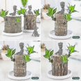 thumbnail image 2 of Mini Brazilian Wood Potted Plants Clean Air Lucky Wood Plant Pot Hydroponic Plants Hydroponic Tree, 2 of 5