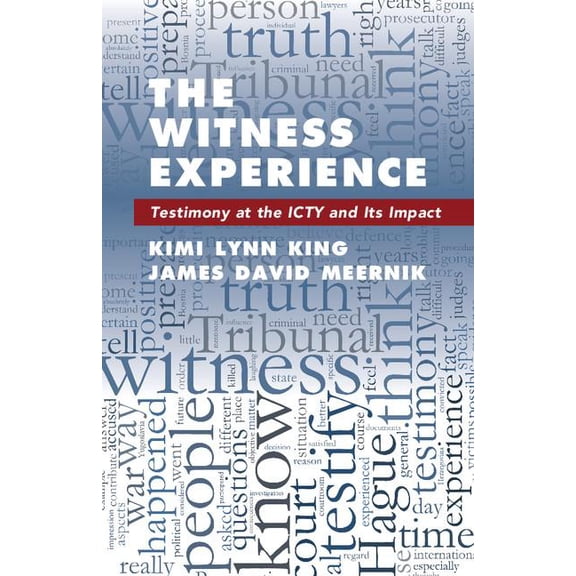 The Witness Experience: Testimony at the Icty and Its Impact, (Paperback)