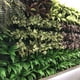 thumbnail image 3 of Plantas artificiales Decoración de pared Colgante al aire libre Plástico Falso hoja verde Fondo Decoración de boda, L Yuarrent HA005109-03, 3 of 6