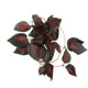 thumbnail image 1 of Forma Realista de Ratán Simulada, Planta Colgante, Decretación de Vid falsa para Peceras, Cajas de Reptiles y Acuarios, Adecuada para decoración de reptiles, respetuosa, 1 of 7