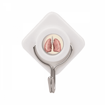 

Organ Lung Human Illustration Adhesive Wall Hooks Hanging Self Sticky