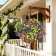thumbnail image 1 of Cesta colgante de flores artificiales – Eucalipto simulado, camelia, palmera para decoración de interiores y exteriores, cesta de plantas artificiales sin mantenimiento para el hogar, jardín, 1 of 6