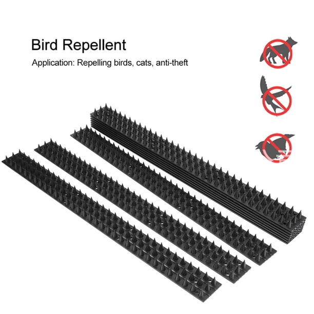 Espiga de Seguridad, Material de Plásstico repelente A Las Aves, Resistente a la Corrosión Duradera para la Pared del Estacionamiento del Huerto de Huertos de Jardín
