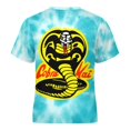 thumbnail image 6 of Cobra Kai T-Shirts for Boys Girls, Kids 3D Print Short Sleeve, Unisex Crew Neck Tee Shirts for Youth, 6 of 9