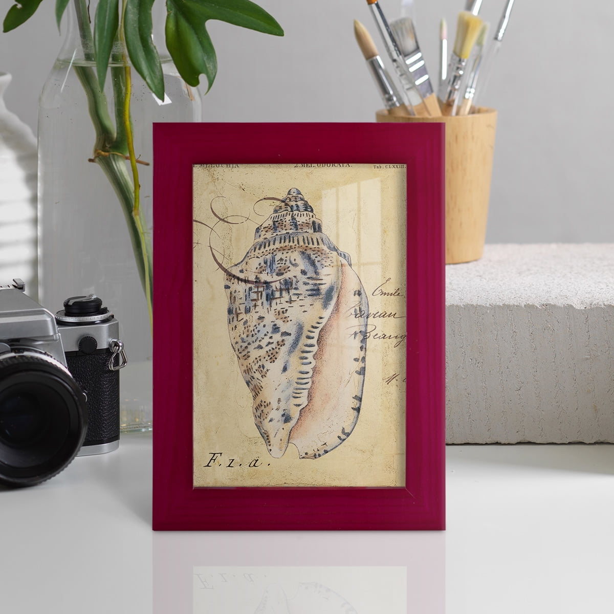 Seashell Ephemera I - Framed Print w/glass - Cherry Red