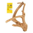 thumbnail image 2 of Java Wood Multi-Branch Bird Perch, Medium, 2 of 2